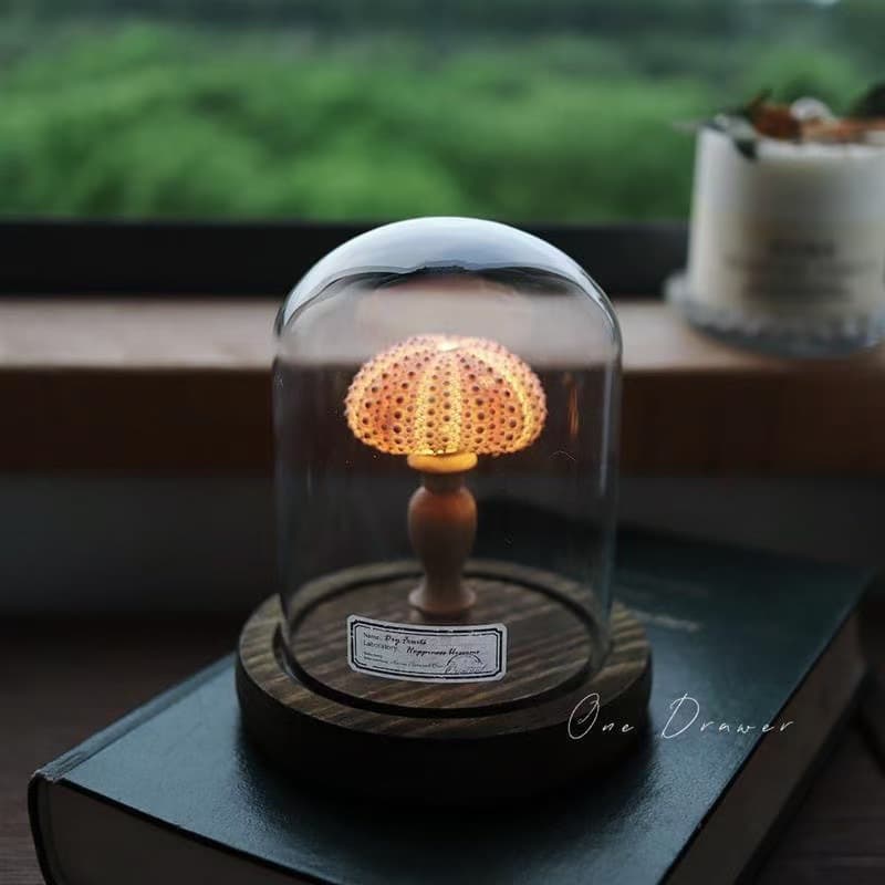 Vintage Sea Urchin & Conch Night Light – Handmade DIY Kit for Mid-Autumn & Qixi Festival Gifts